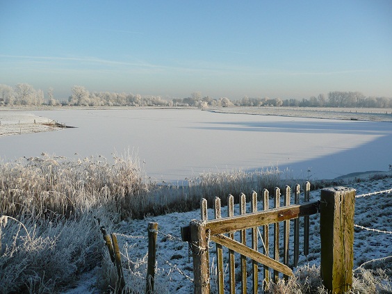landschap2